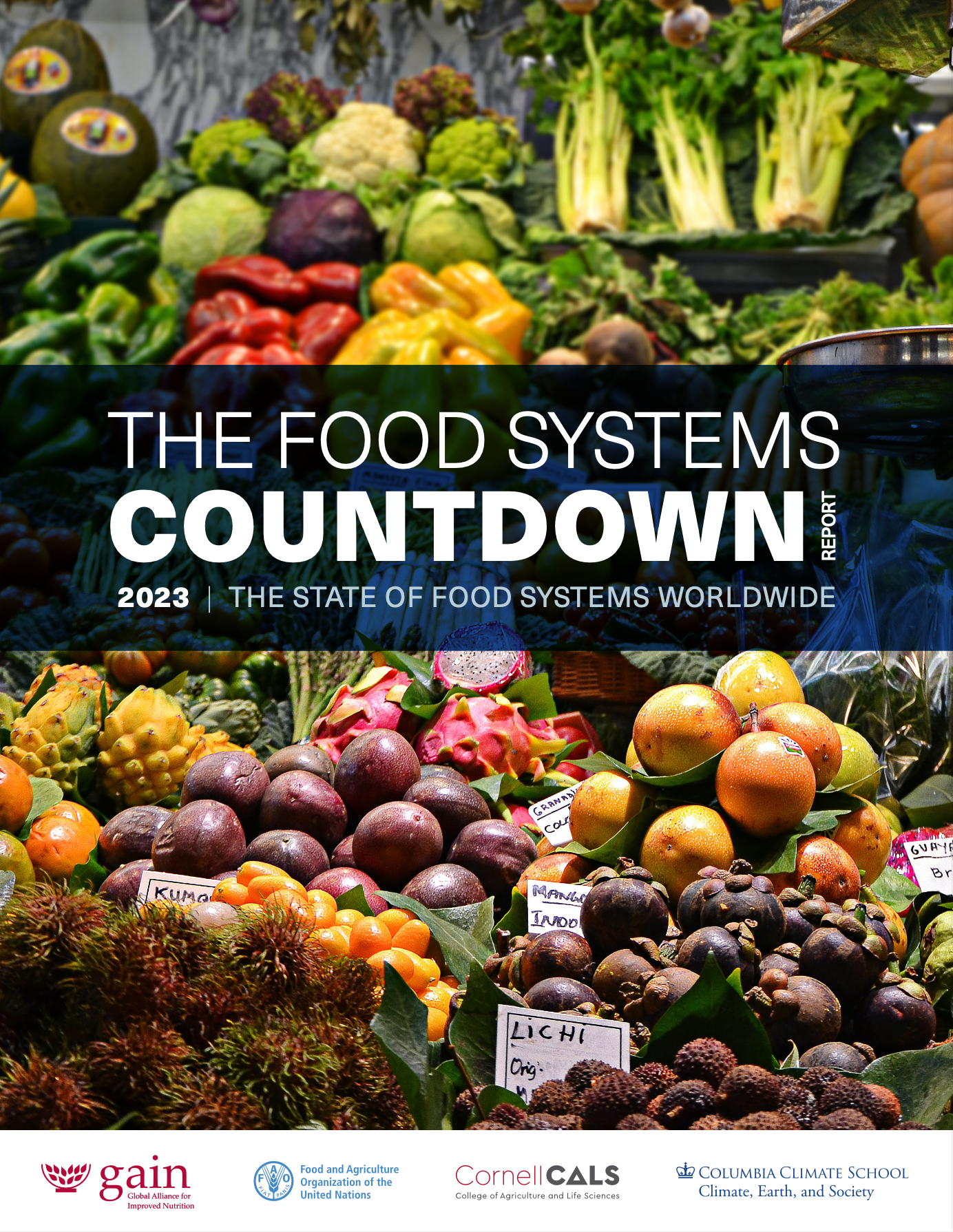 The Food Systems Countdown Report 2023: The State of Food Systems Worldwide