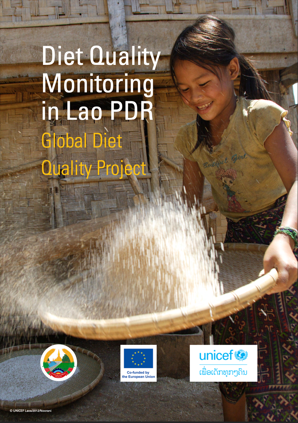 Diet Quality Monitoring in Lao PDR