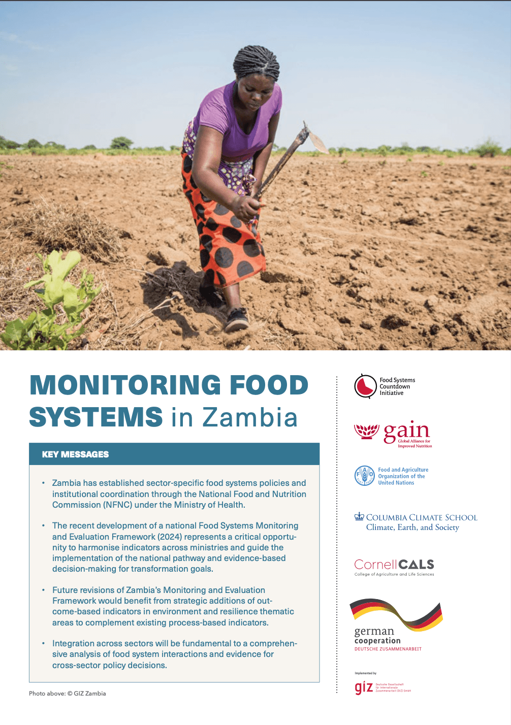 Monitoring Food Systems in Zambia